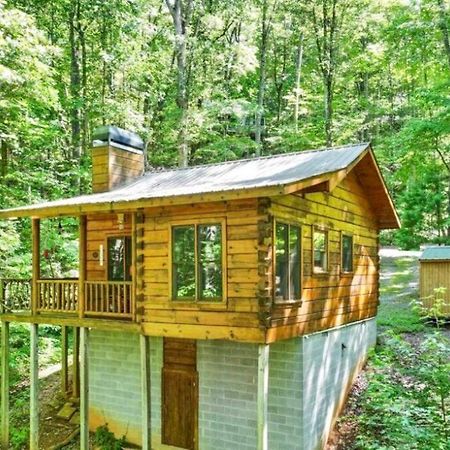 Open Studio Lodge At Little Rock Creek Cherry Log Exterior photo